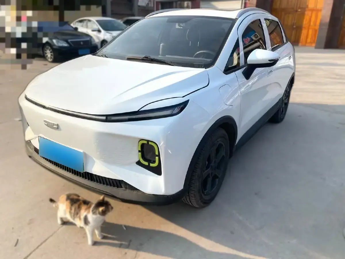 2022 Geometry E BEV 39.4KWH