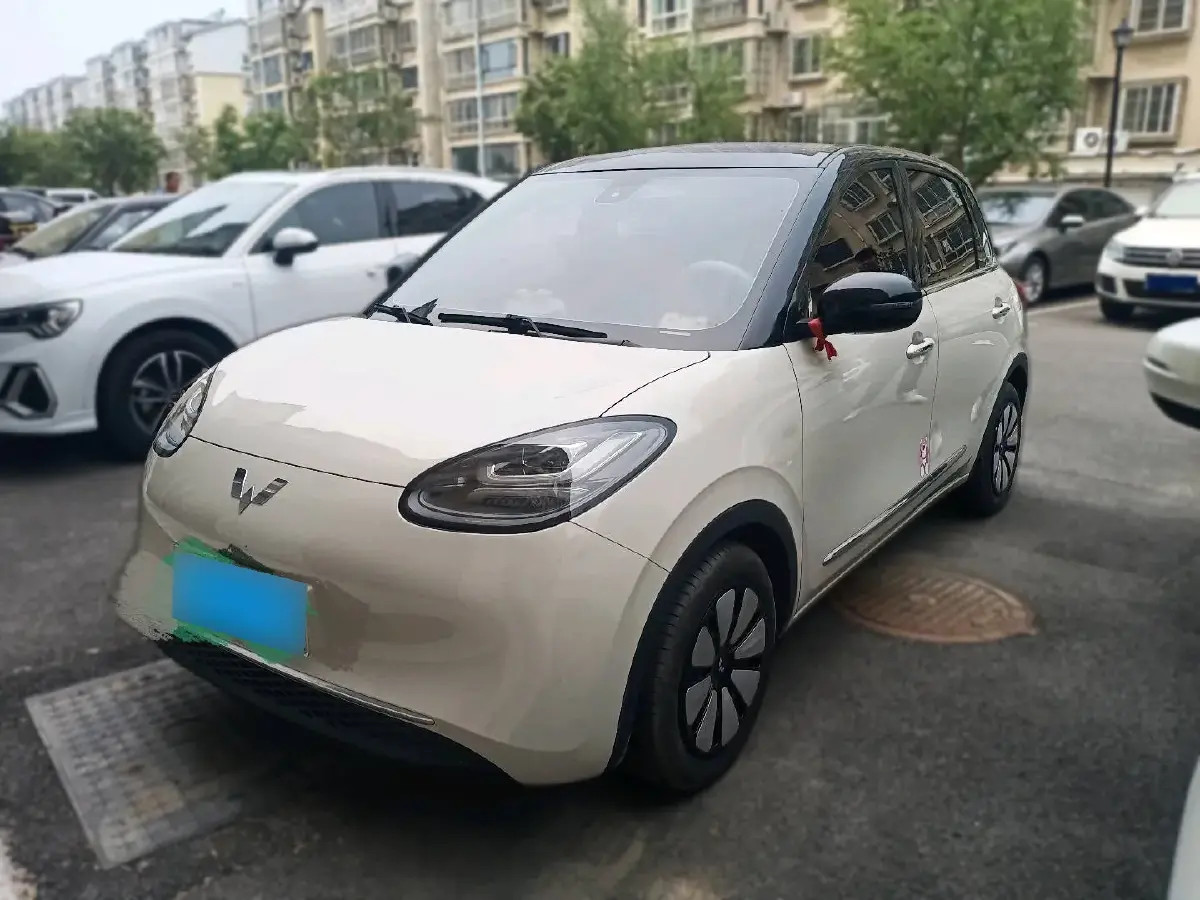 2023 WuLing BinGuo BEV 17.3KWH