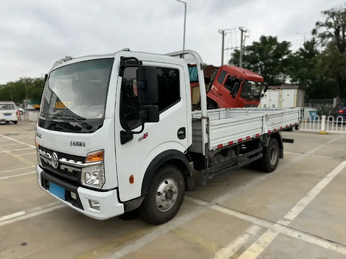 2015 Dongfeng DongFeng Pickup 2.4T 82HP L4 5MT