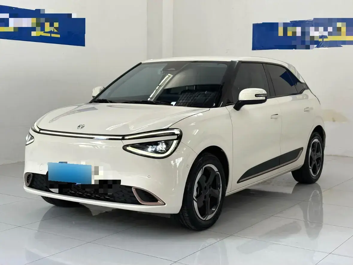 2024 DongFeng Nammi 01 BEV 42.3KWH