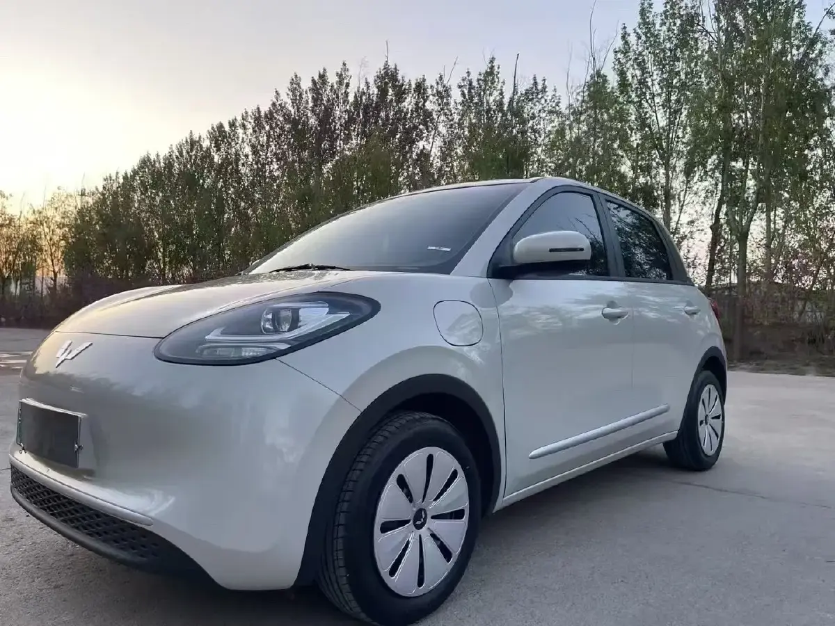 2024 WuLing BinGuo BEV 17.3KWH