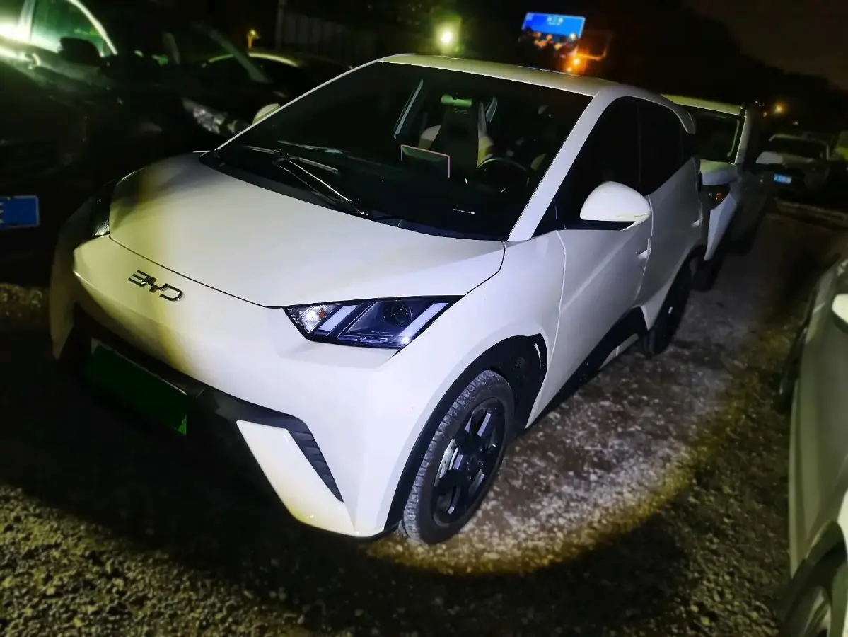 2024 BYD Seagull BEV 38.88KWH