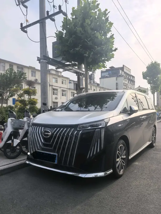 2024 GAC Trumpchi M8 2.0T 252HP L4 8AT