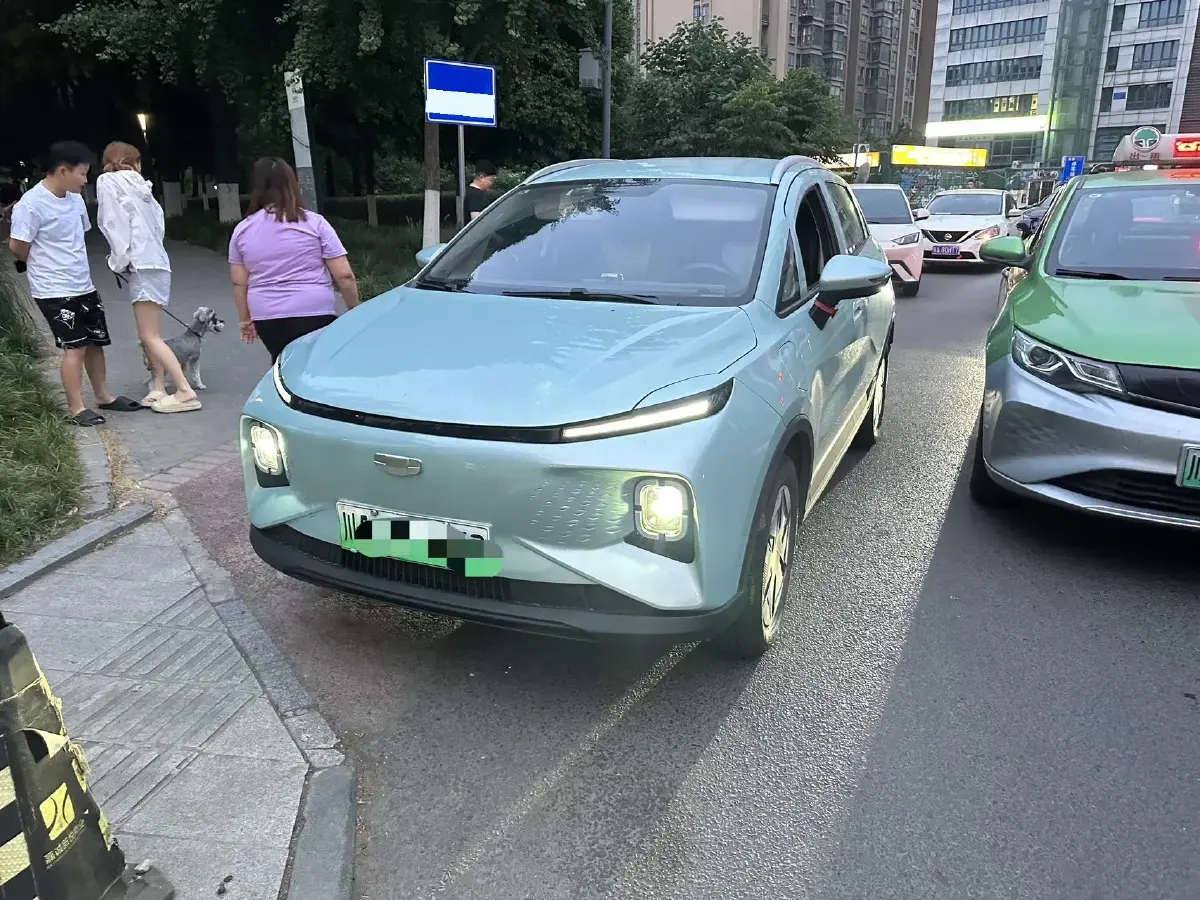 2024 Geometry E BEV 29.67KWH