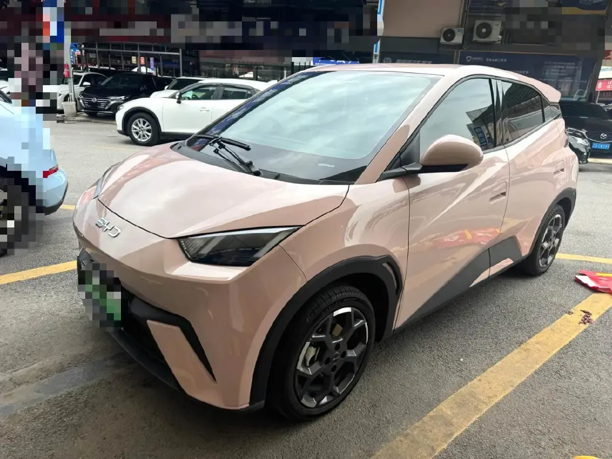 2025 BYD Seagull BEV 30.08KWH