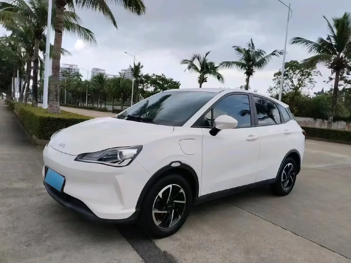 2021 Neta V BEV 38.54KWH