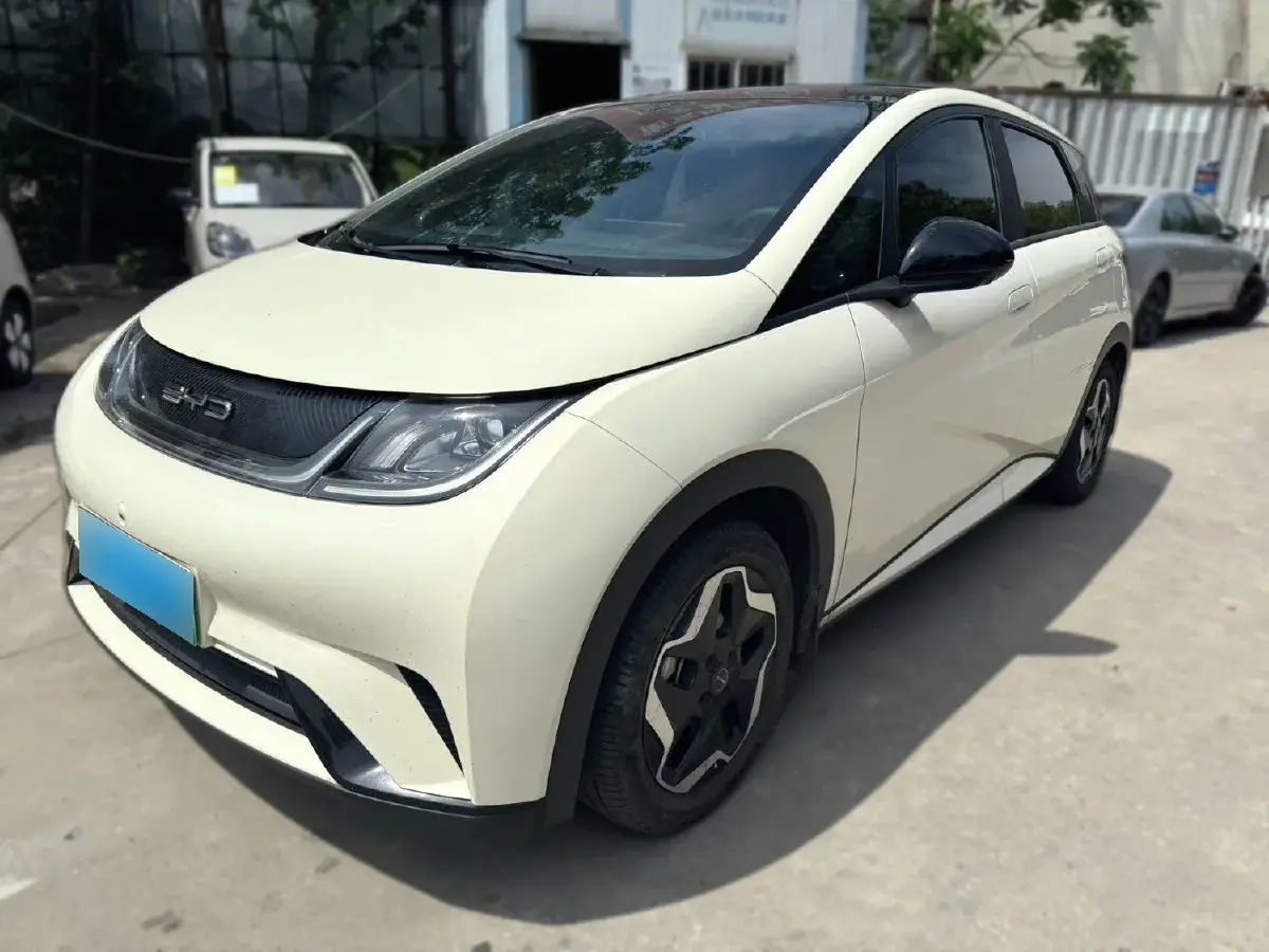 2021 BYD Dolphin BEV 44.9KWH