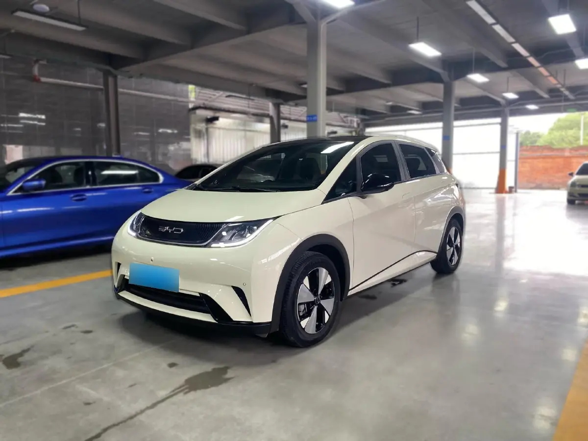 2023 BYD Dolphin BEV 44.928KWH