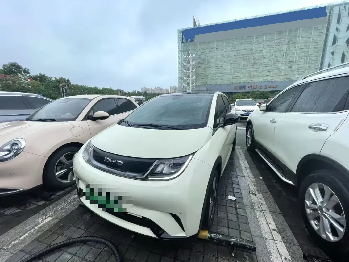 2023 BYD Dolphin BEV 44.928KWH