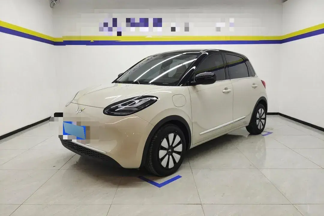 2024 WuLing BinGuo BEV 31.9KWH