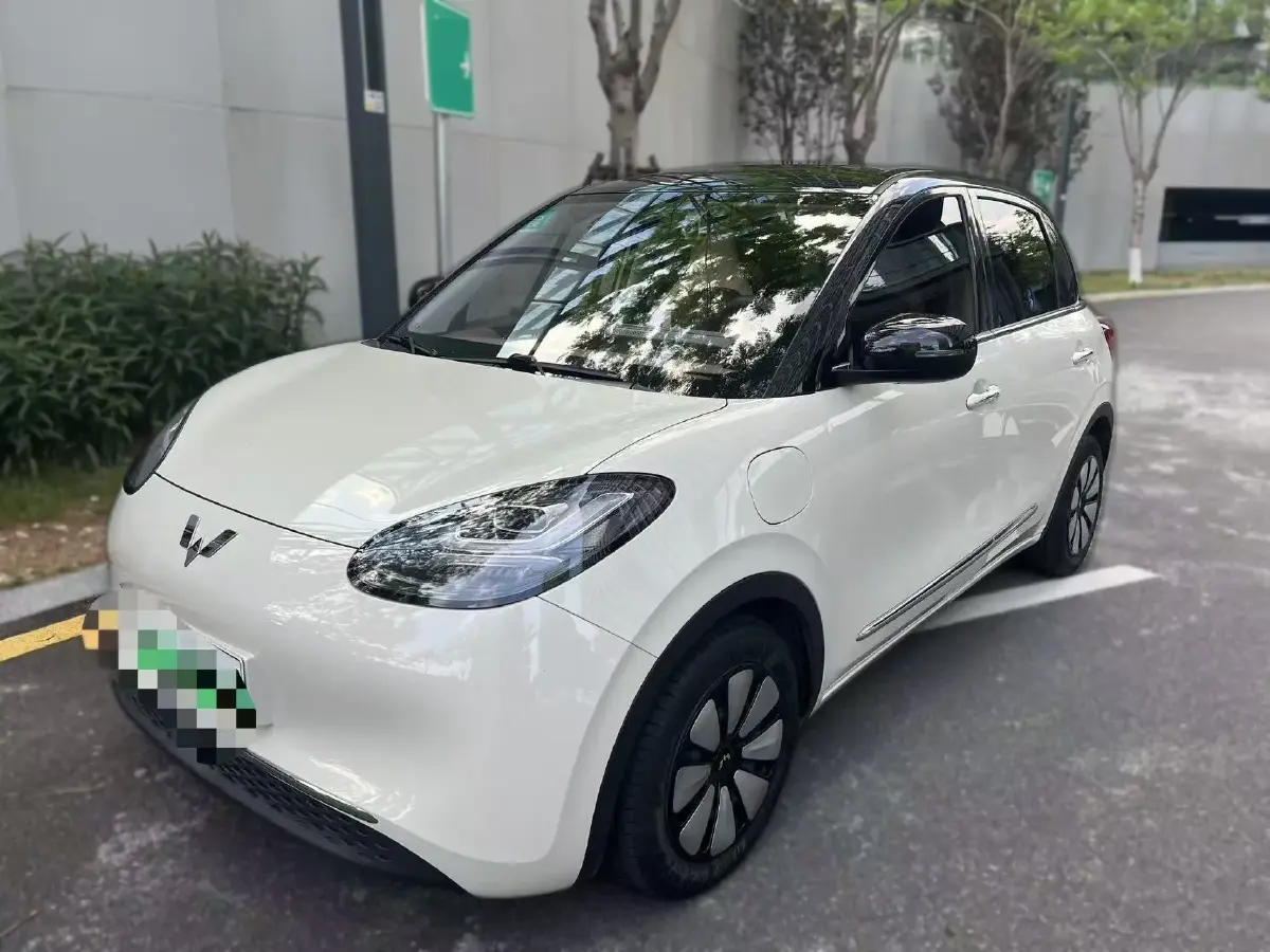 2024 WuLing BinGuo BEV 31.9KWH