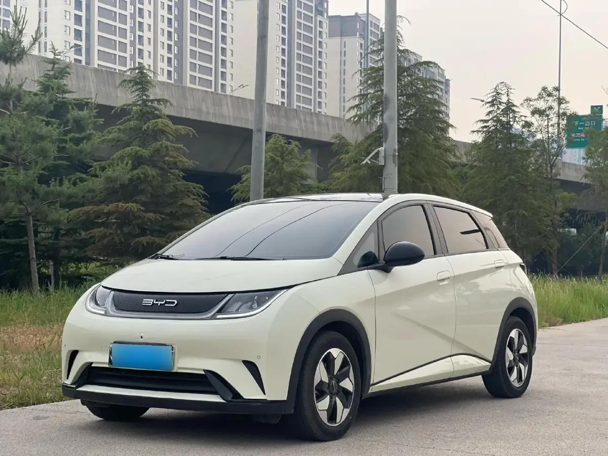 2024 BYD Dolphin BEV 44.928KWH