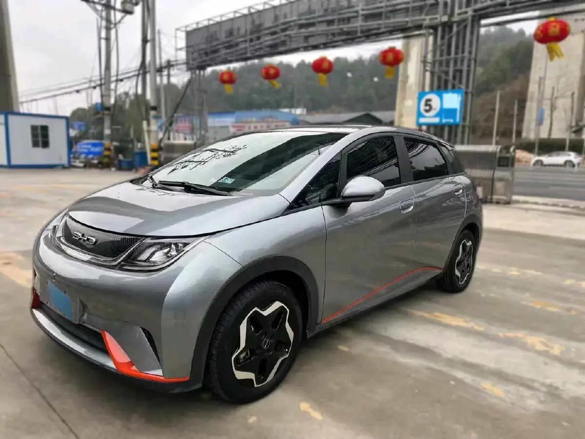 2021 BYD Dolphin BEV 44.9KWH