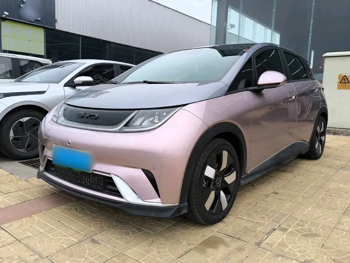 2021 BYD Dolphin BEV 44.9KWH