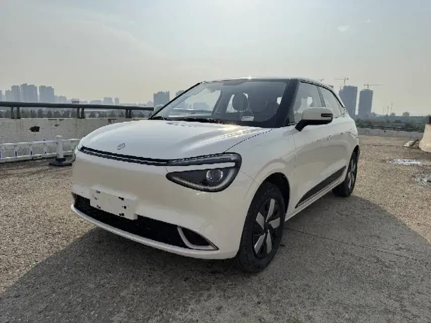 2024 DongFeng Nammi 01 BEV 31.45KWH