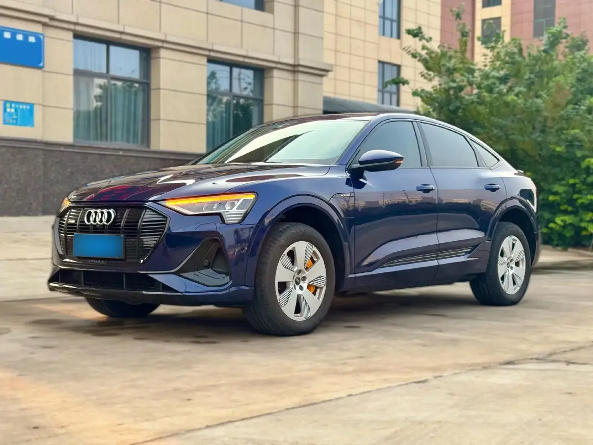 2022 Audi e-tron 2AT BEV 95KWH