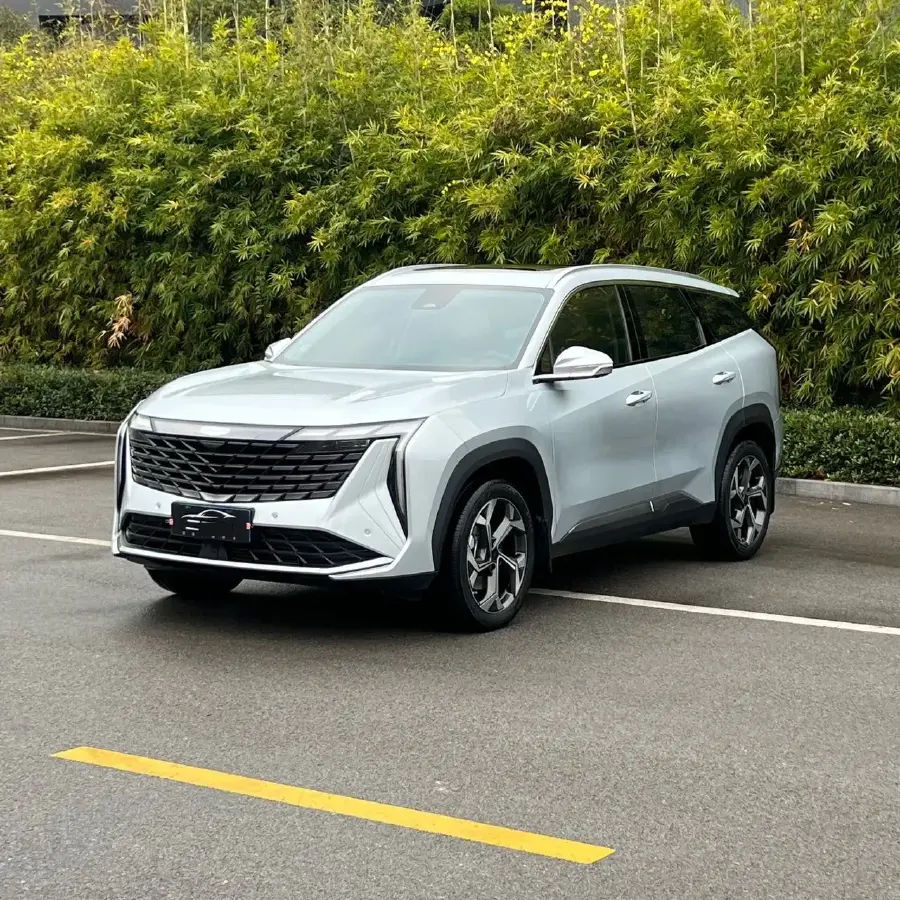 2023 Geely StarRay 1.5T 181HP L4 7DCT