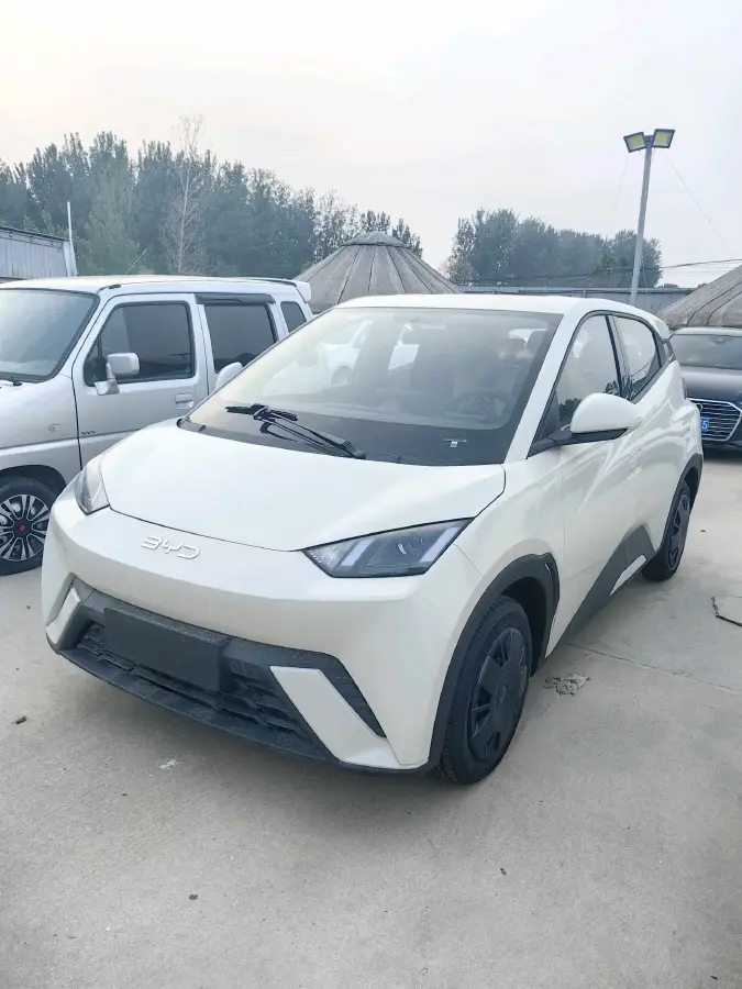 2025 BYD Seagull BEV 30.08KWH