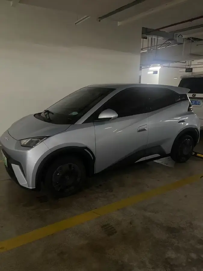 2024 BYD Seagull BEV 30.08KWH
