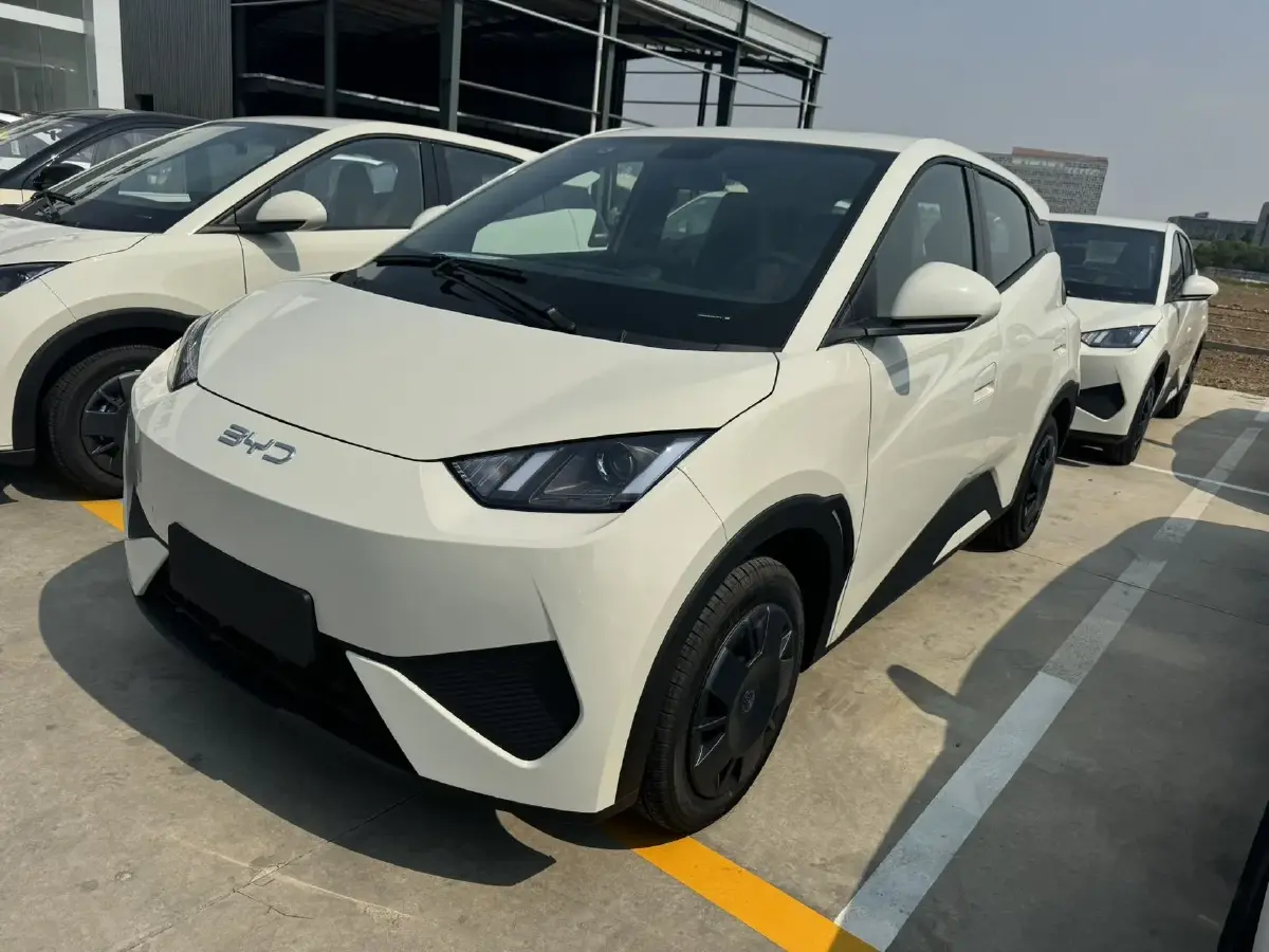2025 BYD Seagull BEV 30.08KWH
