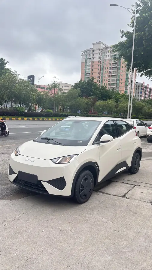 2025 BYD Seagull BEV 30.08KWH