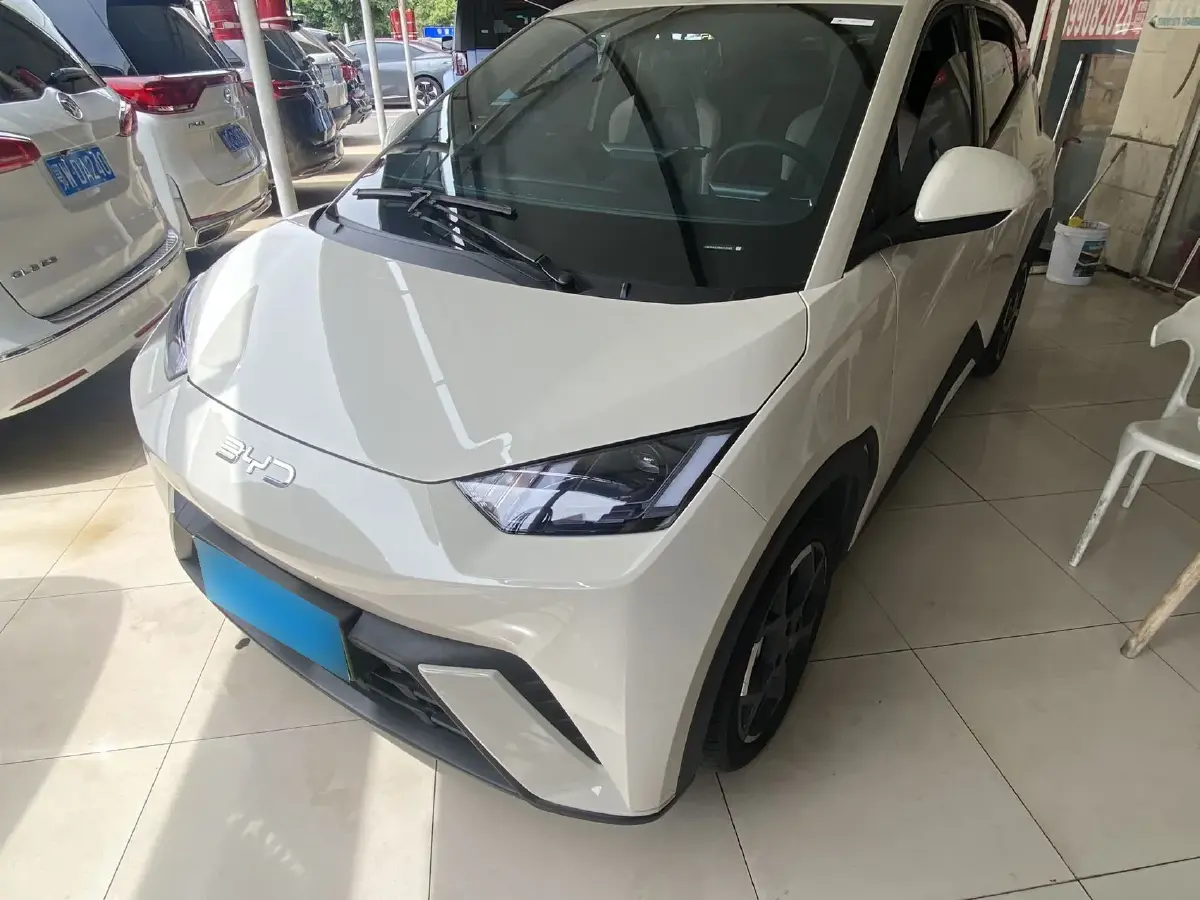 2024 BYD Seagull BEV 38.88KWH