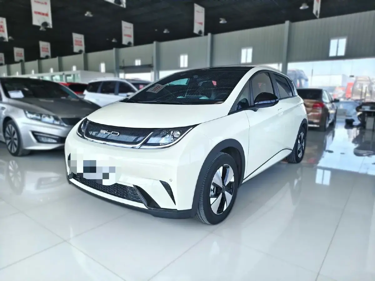 2023 BYD Dolphin BEV 44.928KWH