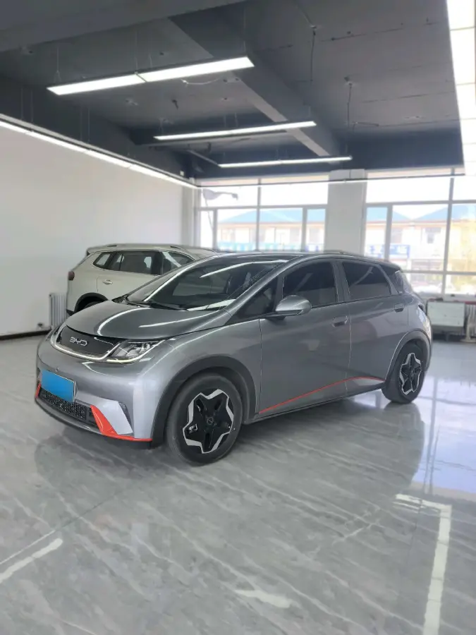 2021 BYD Dolphin BEV 44.9KWH