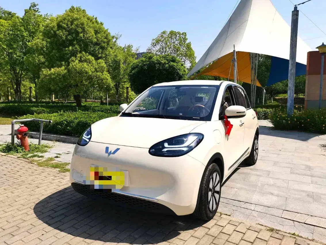 2025 WuLing BinGuo BEV