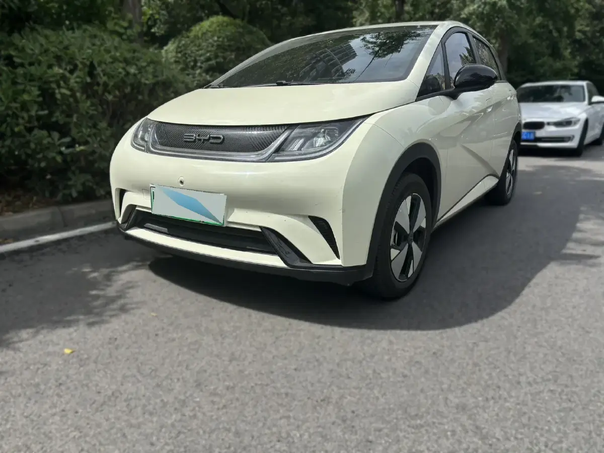 2023 BYD Dolphin BEV 44.928KWH