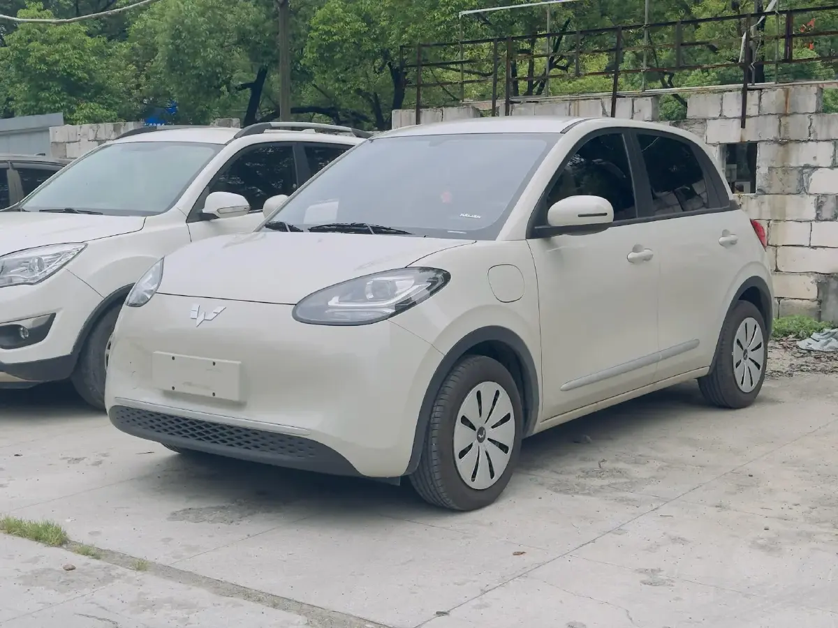 2024 WuLing BinGuo BEV 17.3KWH