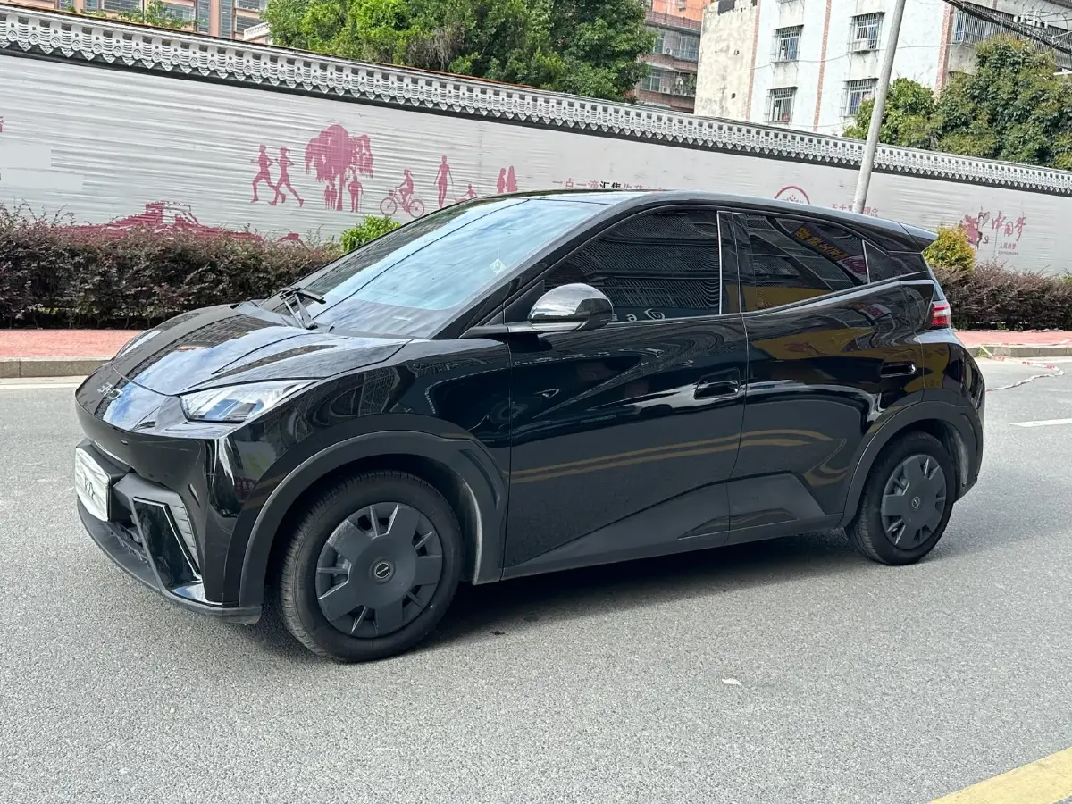 2024 BYD Seagull BEV 30.08KWH