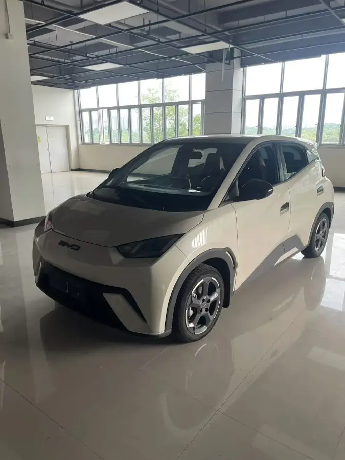 2023 BYD Dolphin BEV 44.928KWH