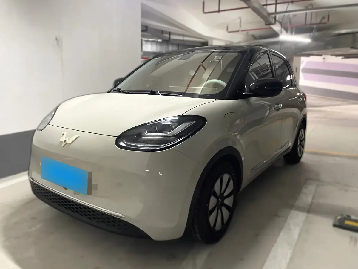 2024 WuLing BinGuo BEV 31.9KWH
