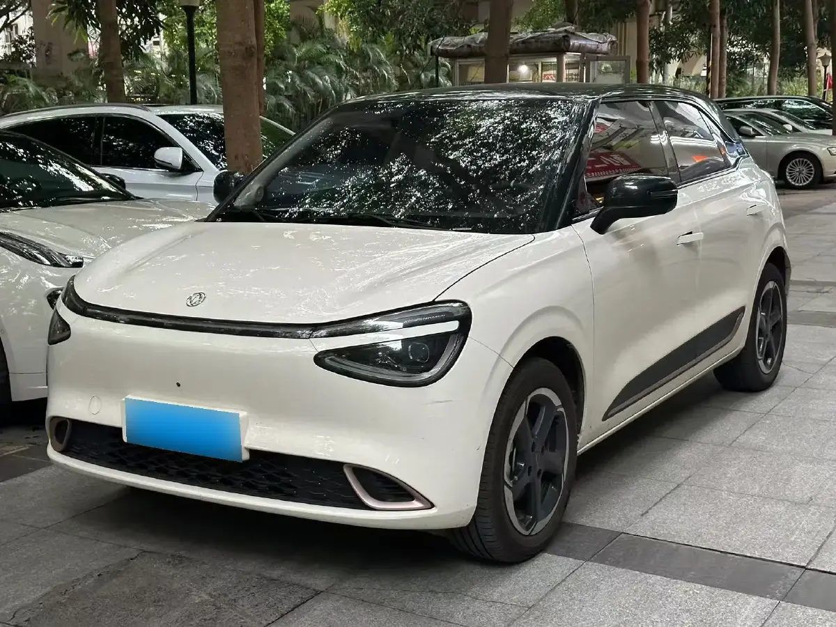 2024 DongFeng Nammi 01 BEV 42.3KWH