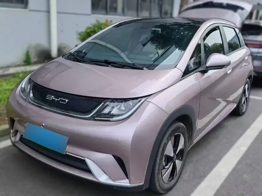 2023 BYD Dolphin BEV 44.928KWH