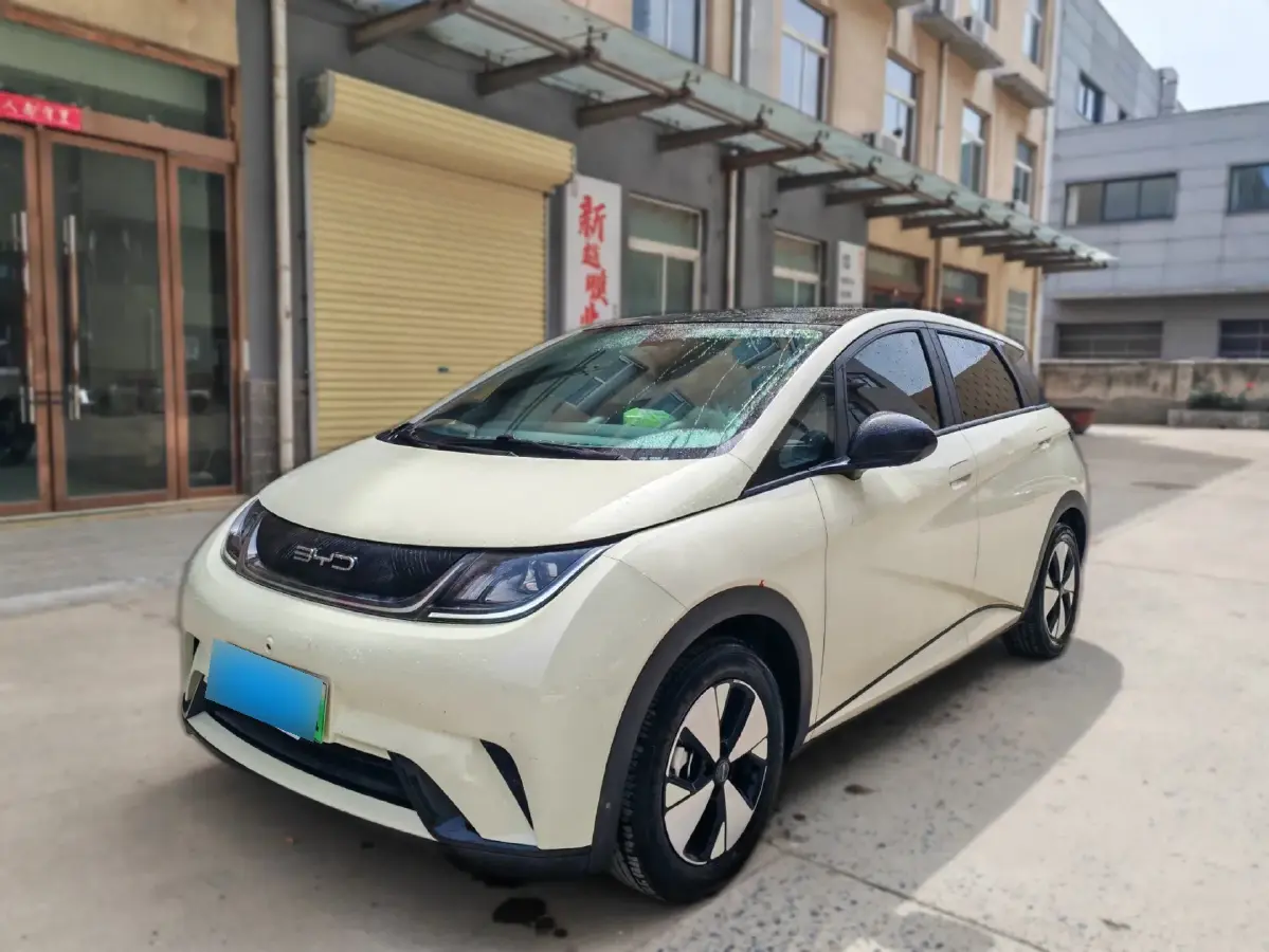 2023 BYD Dolphin BEV 44.928KWH