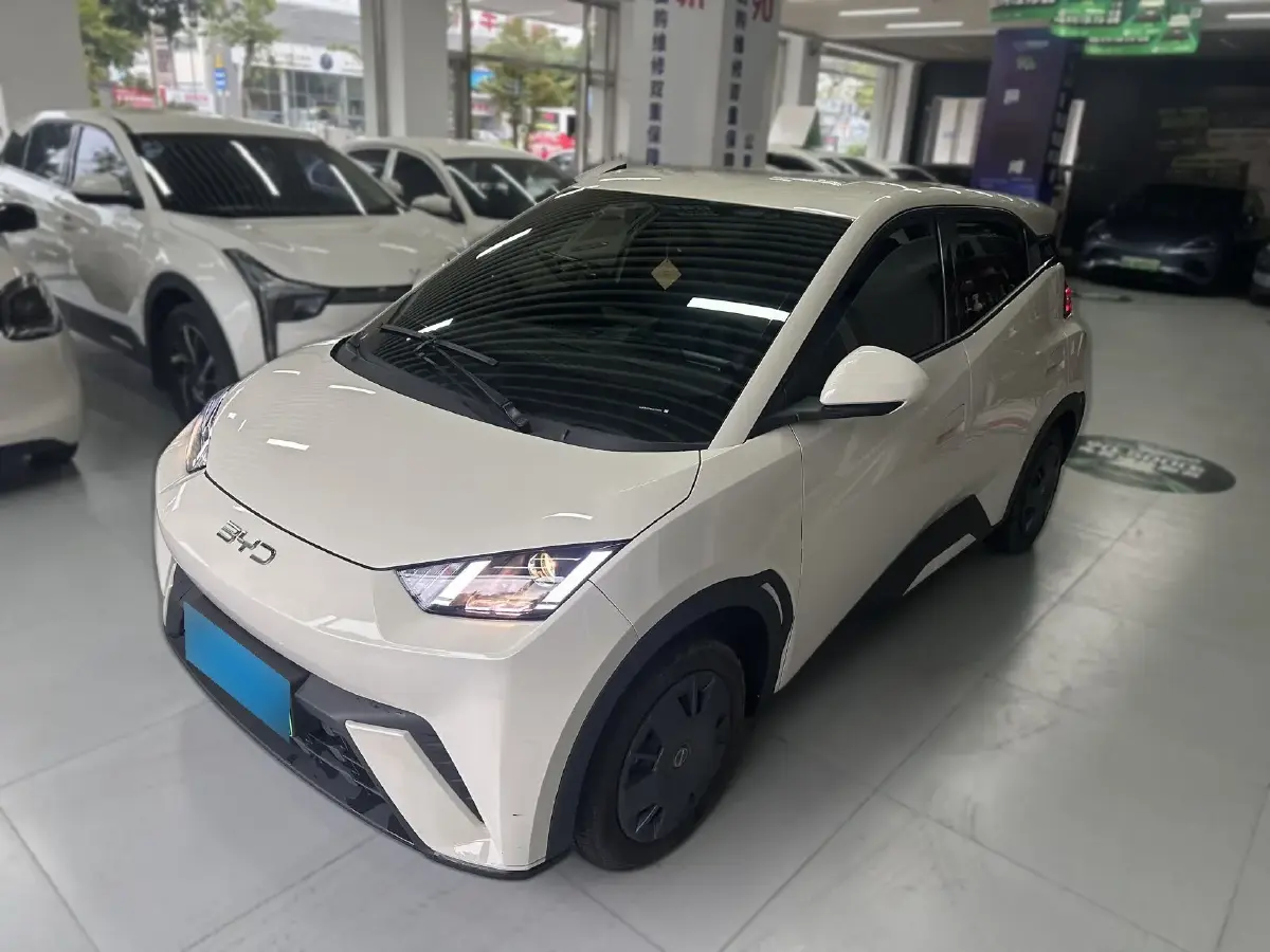 2024 BYD Seagull BEV 30.08KWH