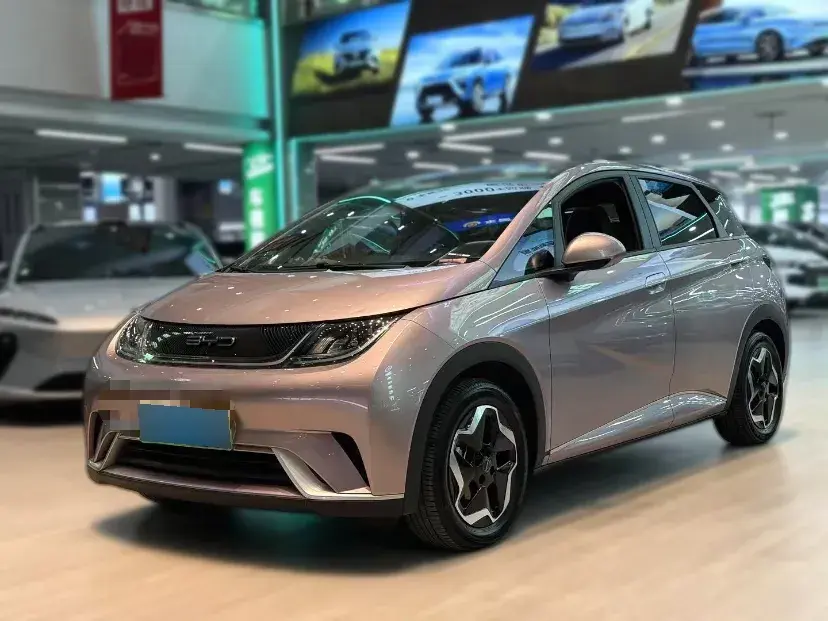 2021 BYD Dolphin BEV 44.9KWH