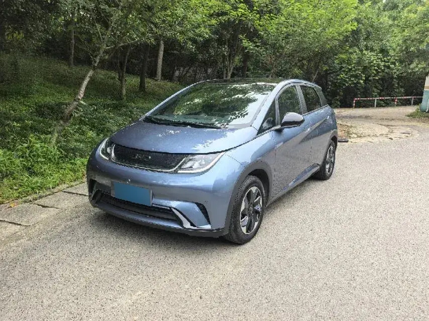 2024 BYD Dolphin BEV 44.928KWH