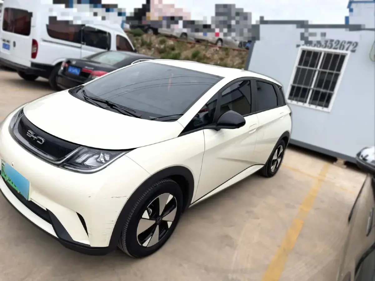 2023 BYD Dolphin BEV 44.928KWH