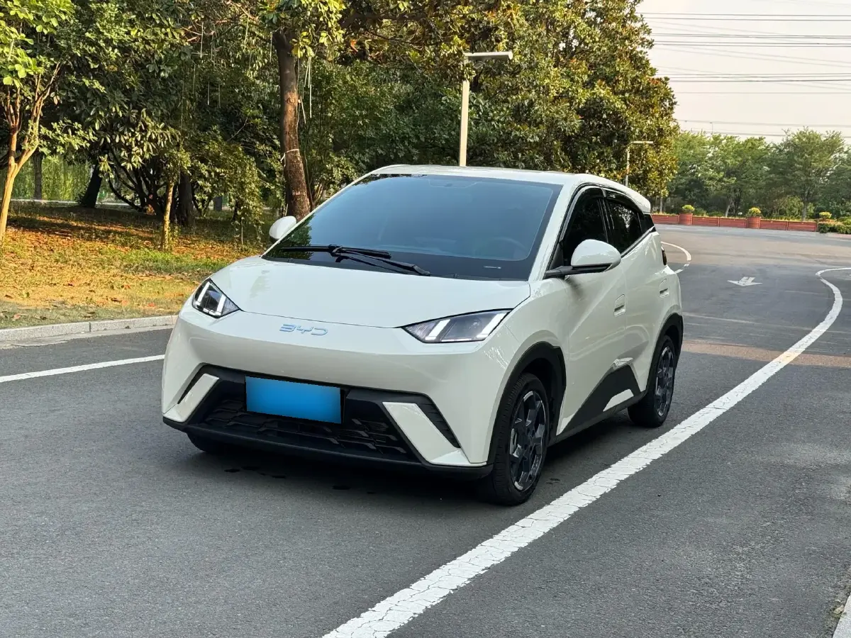2025 BYD Seagull BEV 30.08KWH