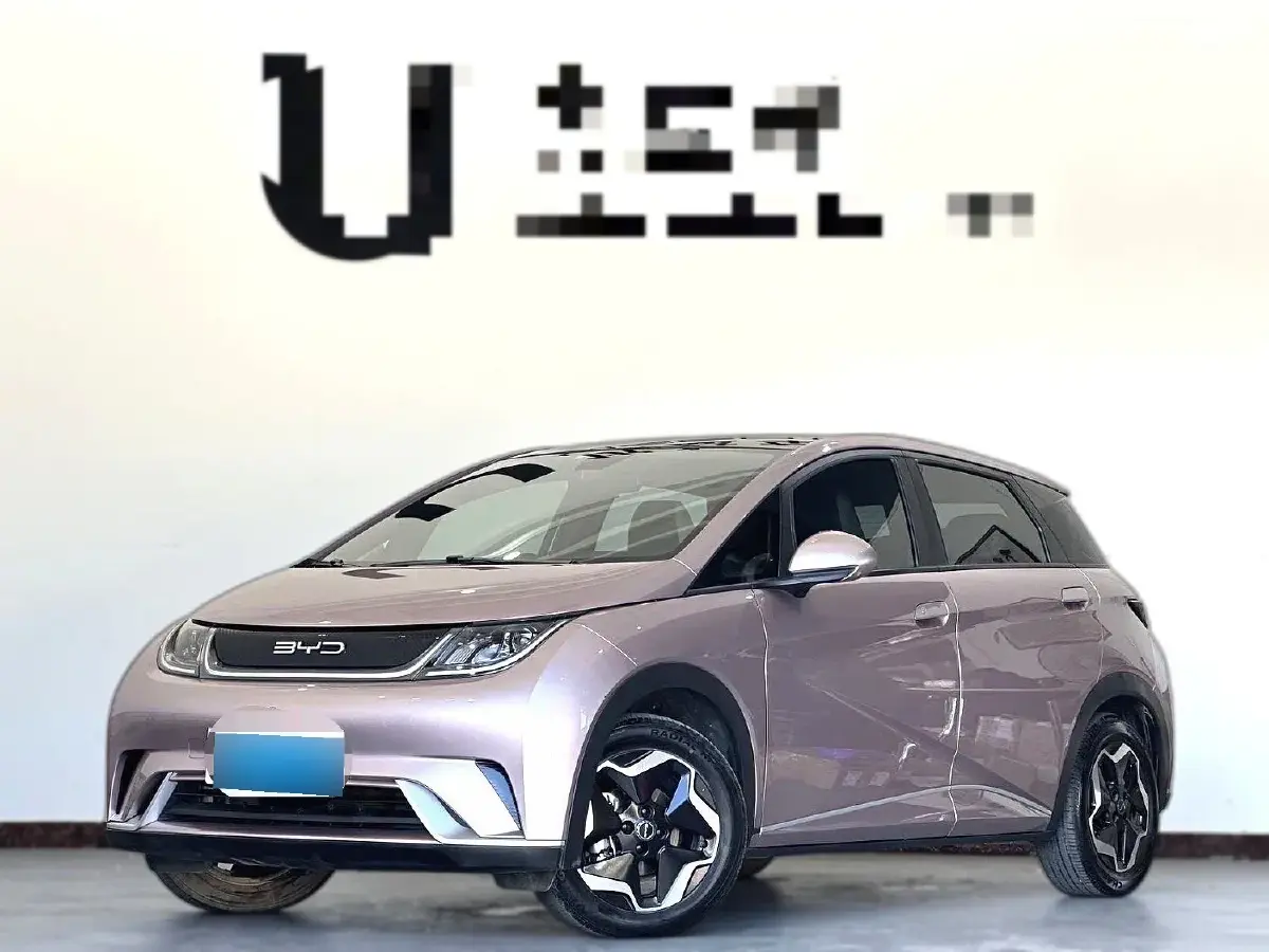 2021 BYD Dolphin BEV 44.9KWH