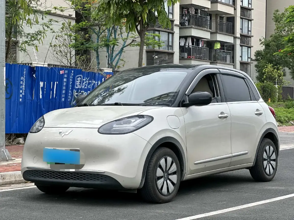2024 WuLing BinGuo BEV 31.9KWH
