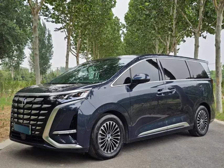 2022 Denza D9 1.5T 139HP L4 E-CVT PHEV 40.06KWH