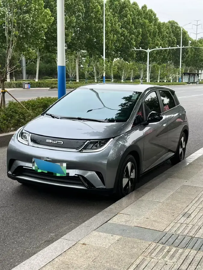 2024 BYD Dolphin BEV 44.928KWH