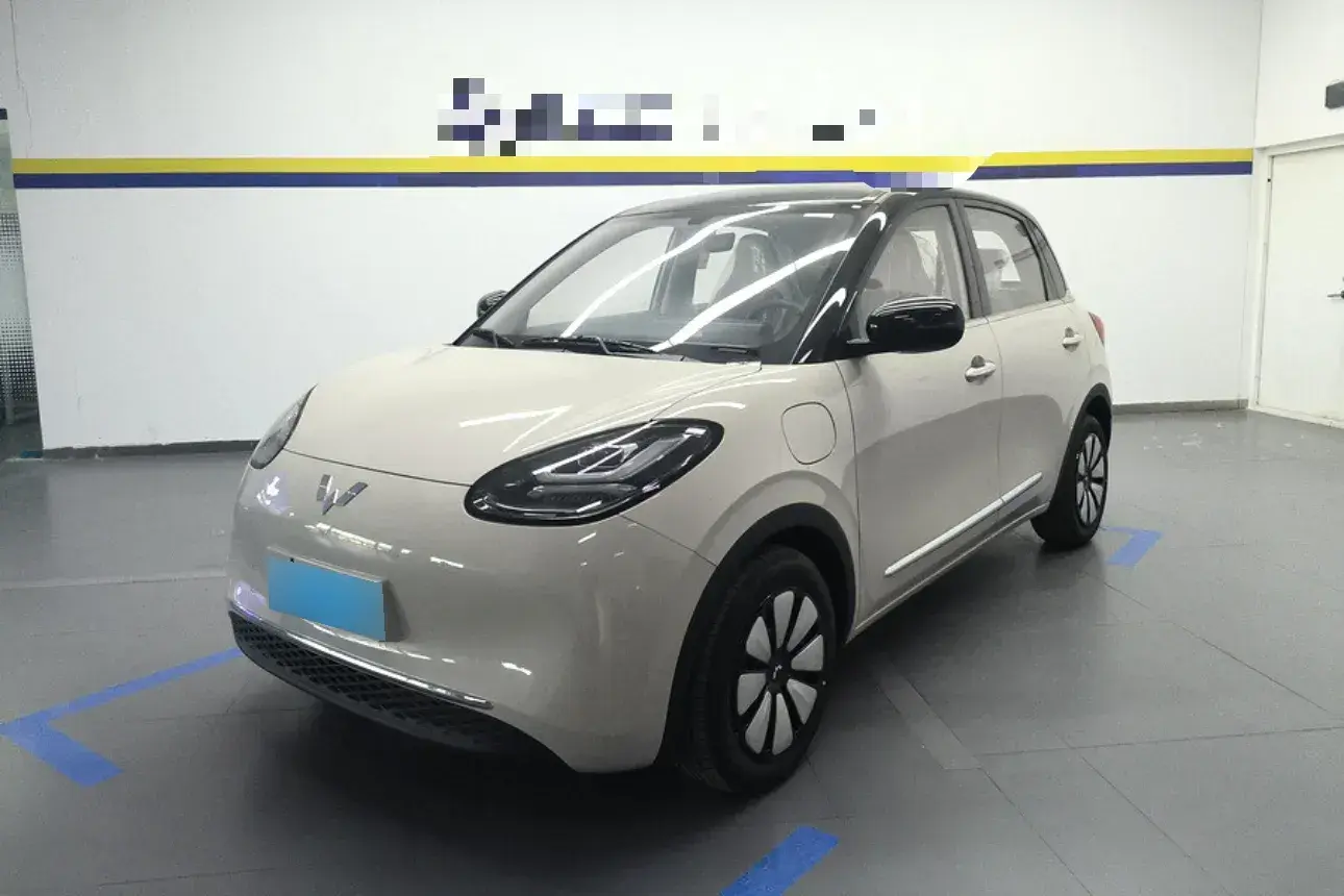 2024 WuLing BinGuo BEV 31.9KWH