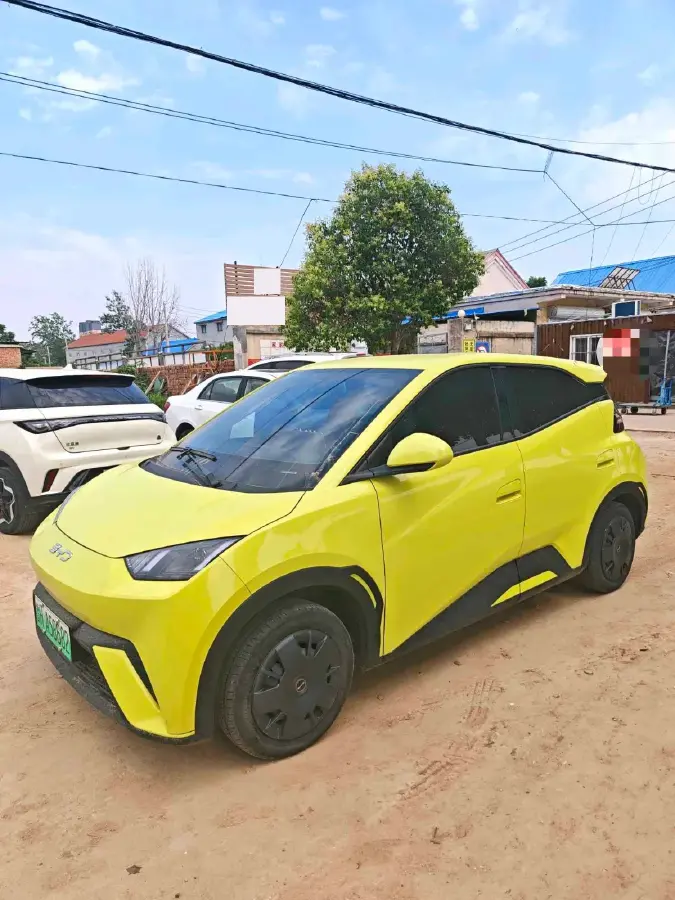 2023 BYD Seagull BEV 30.08KWH