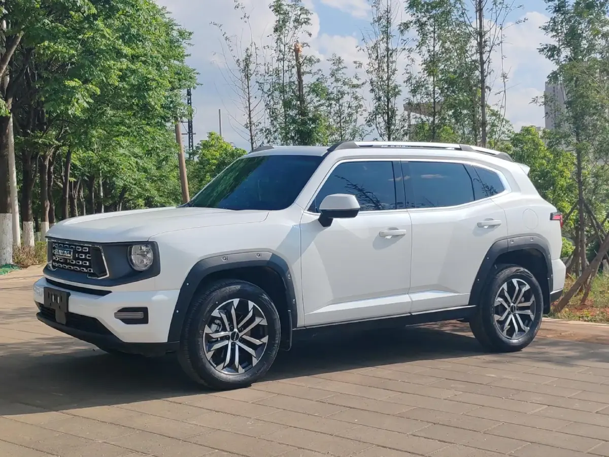 2023 Haval Dargo 2 1.5T 184HP L4 7DCT