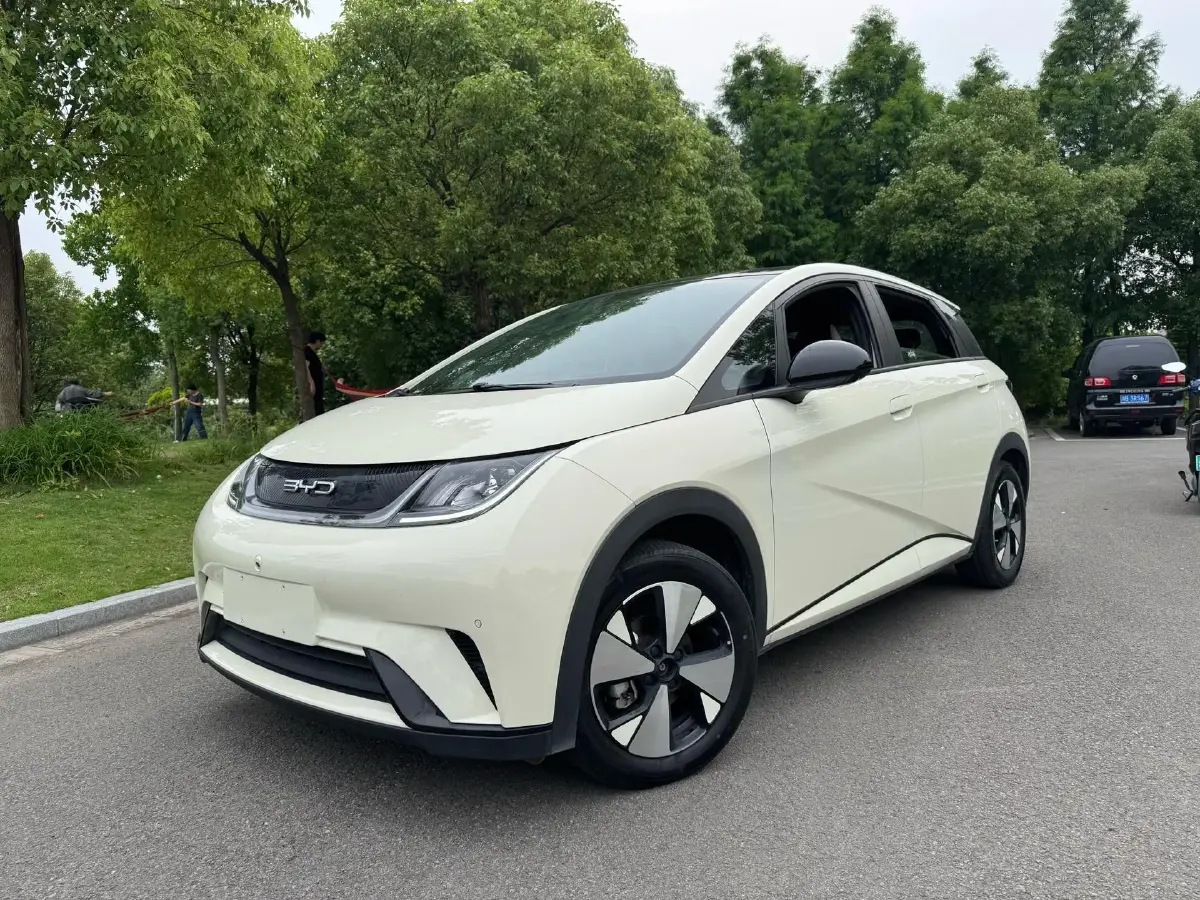2023 BYD Dolphin BEV 44.928KWH